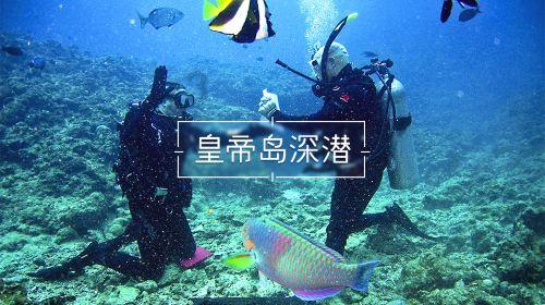 植物大战僵尸18